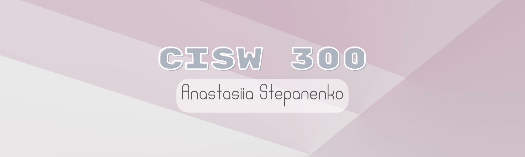 Banner CISW 300 Image